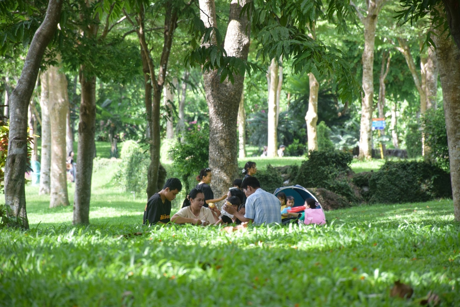 Giới thiệu — ảnh 17