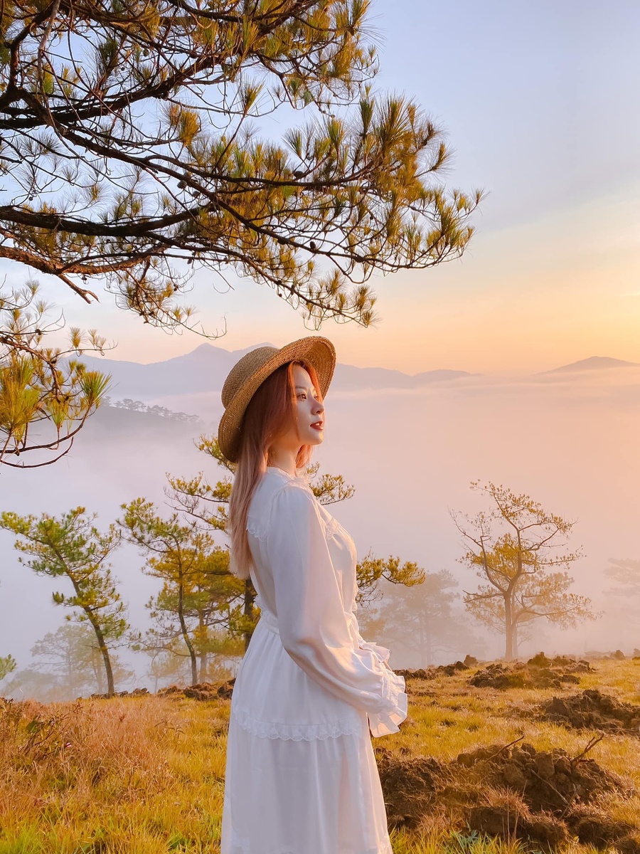 Giới thiệu — ảnh 3