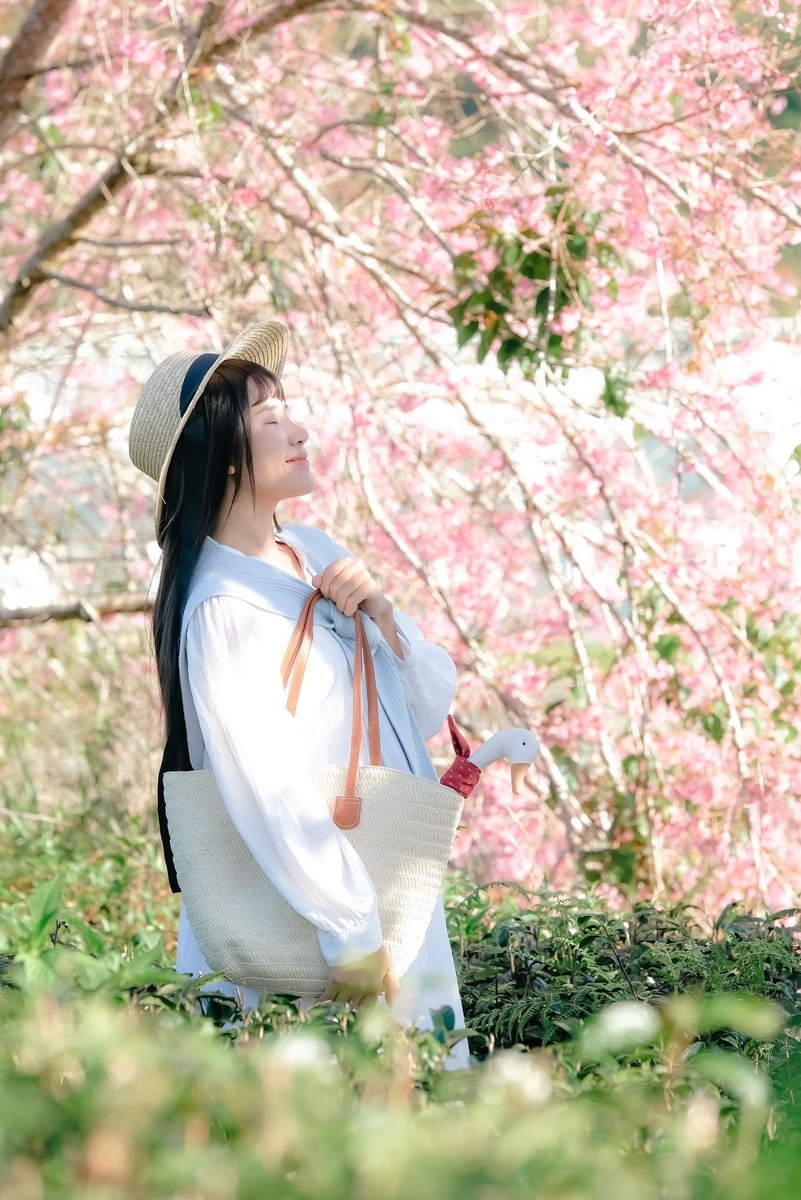 Giới thiệu — ảnh 13