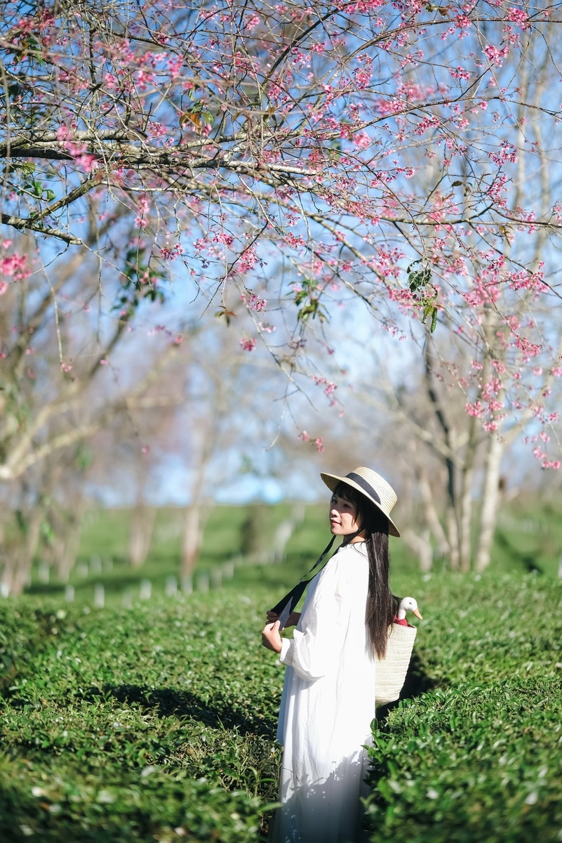 Giới thiệu — ảnh 15