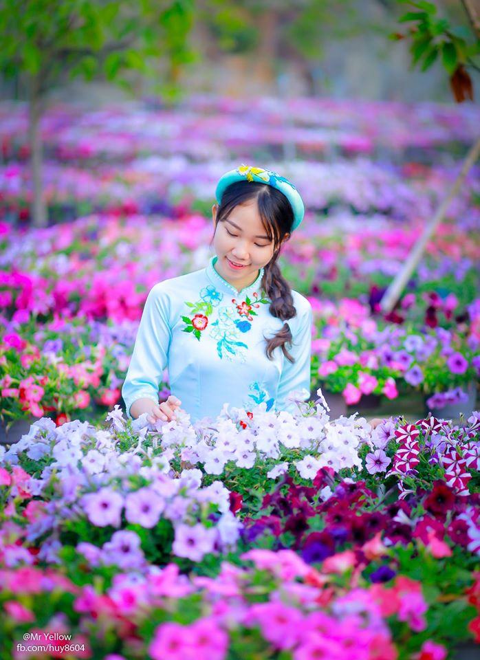 5. Hoa Dạ Yến Thảo — ảnh 16
