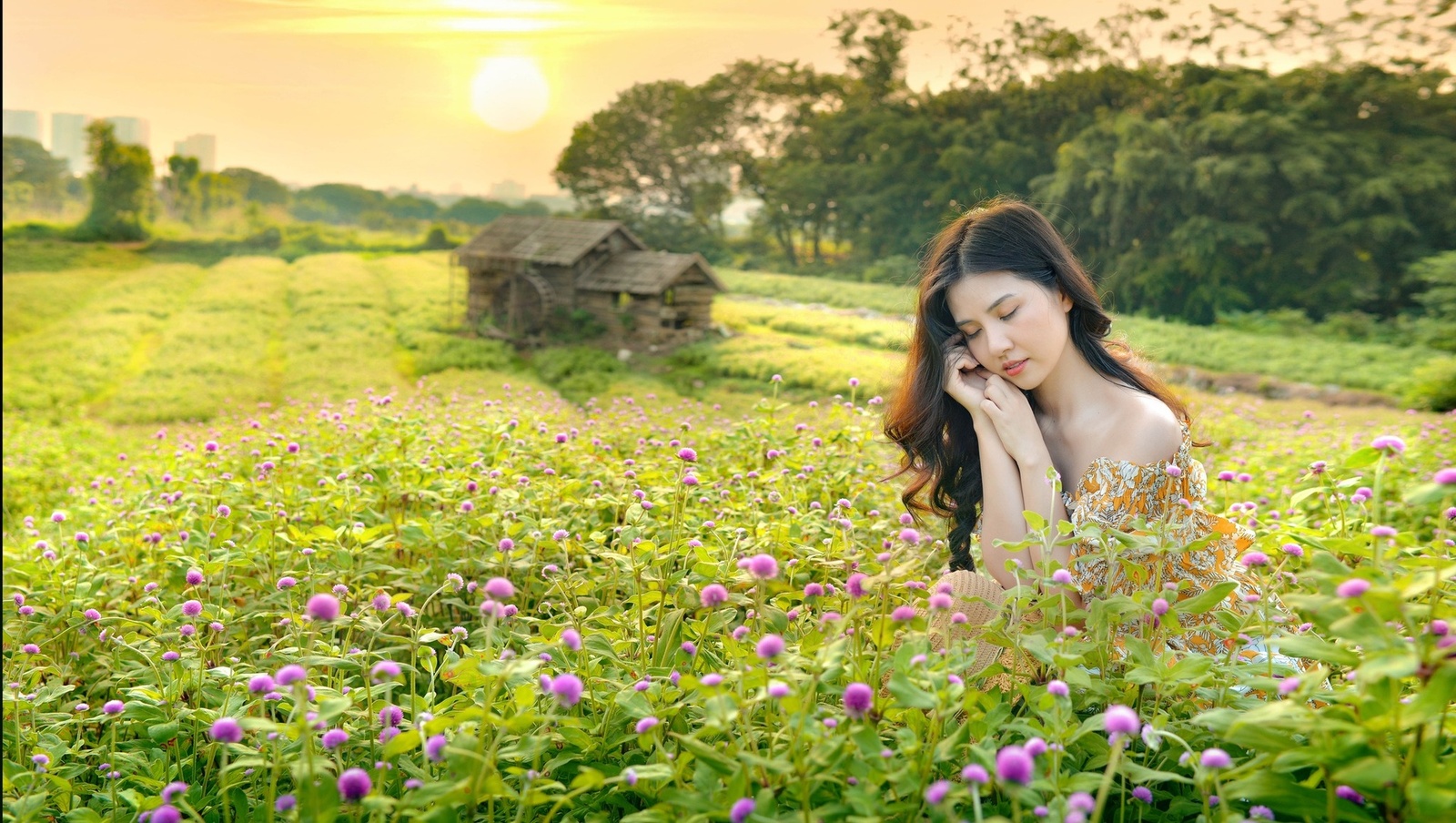 Cúc Bách Nhật - Lê Thảo 8.2023 — ảnh 9