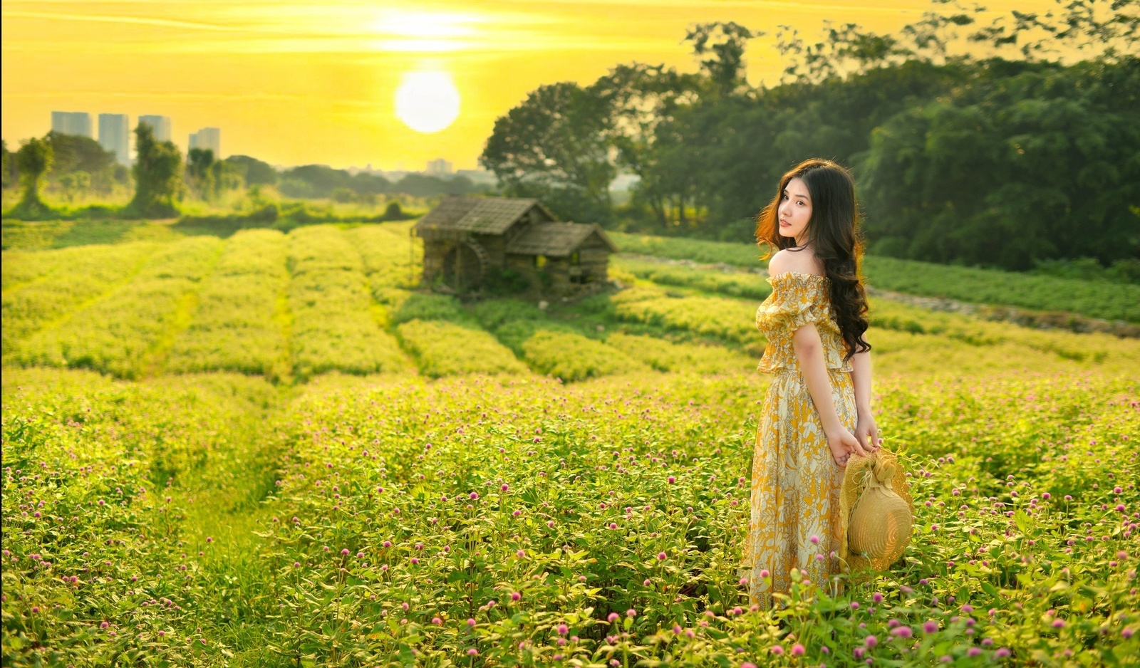 Cúc Bách Nhật - Lê Thảo 8.2023 — ảnh 10