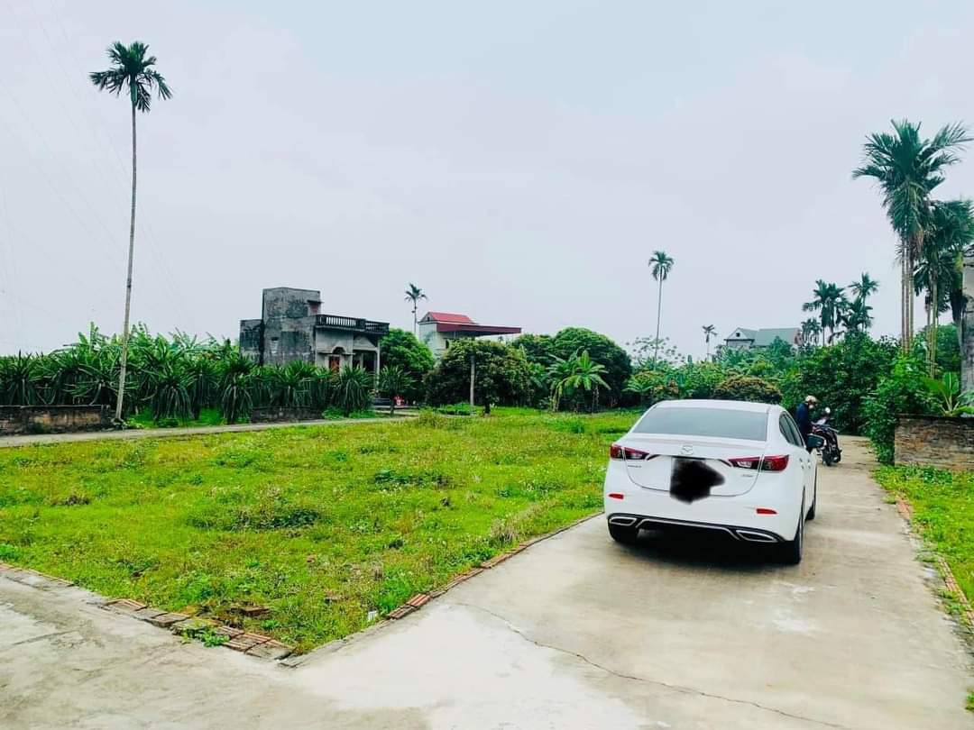 Đất nền P.Bến Tắm Tp. Chí Linh Giá 850tr