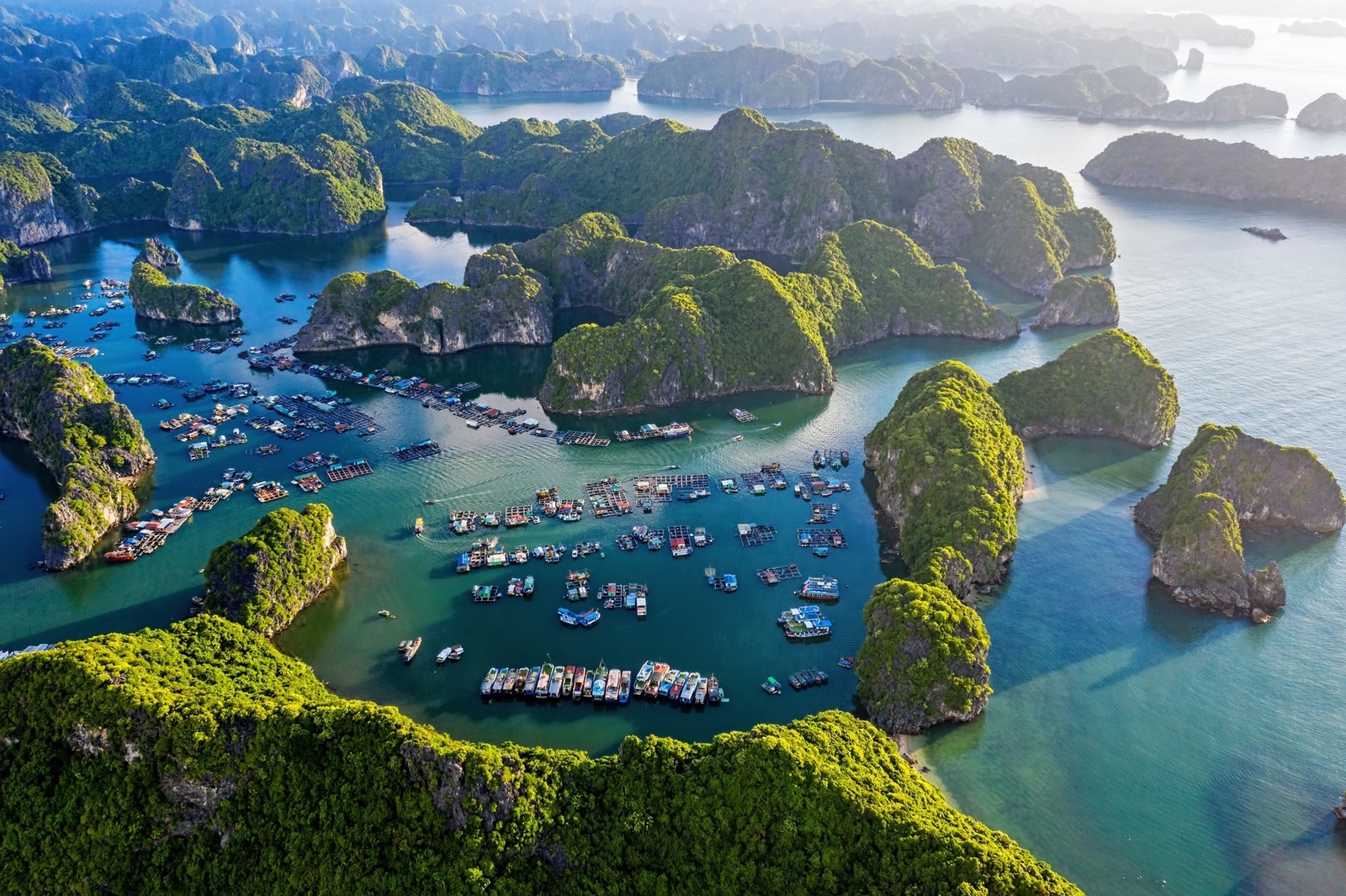 Giới thiệu