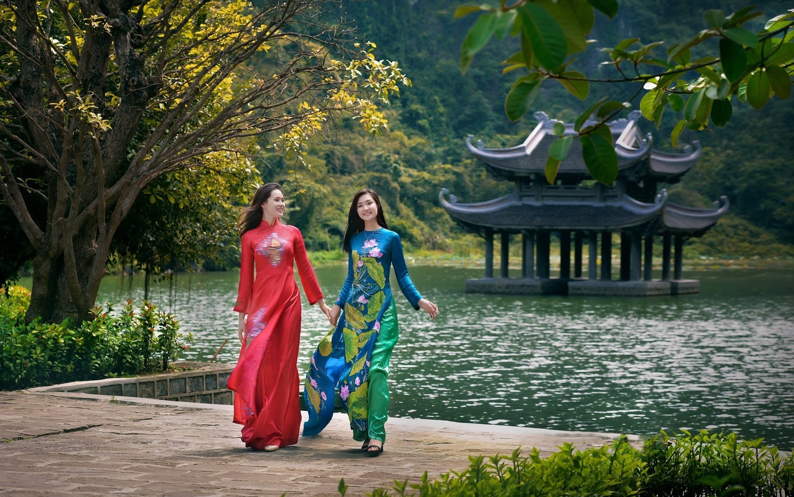 Giới Thiệu