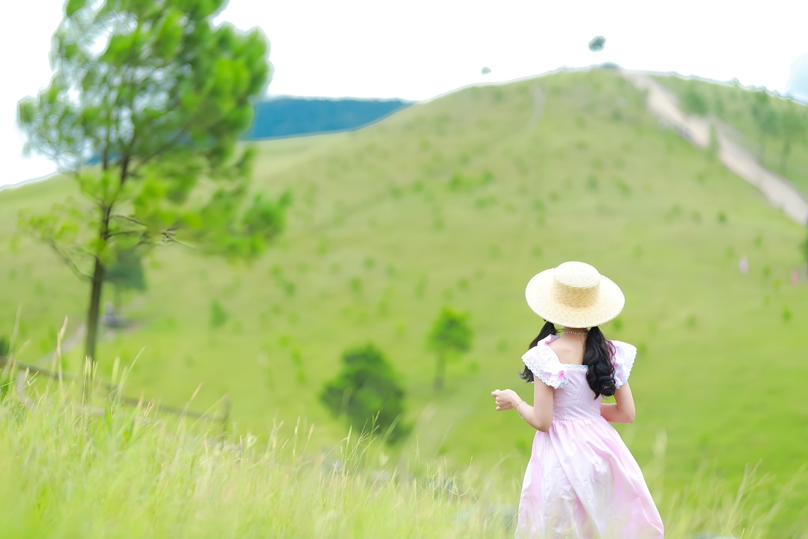 Giới thiệu