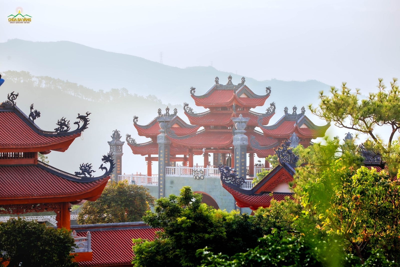 Giới thiệu