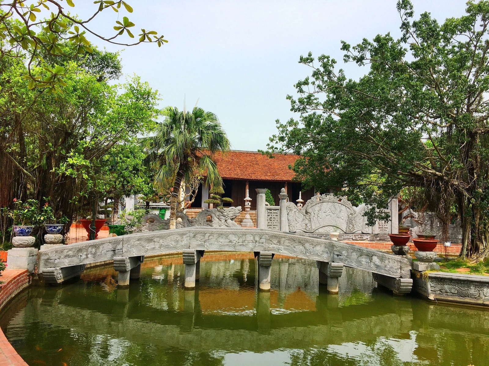 Giới thiệu