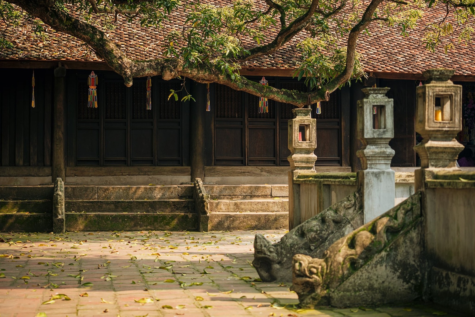 Giới thiệu