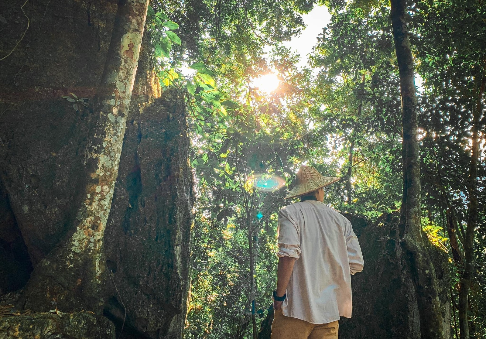Giới thiệu