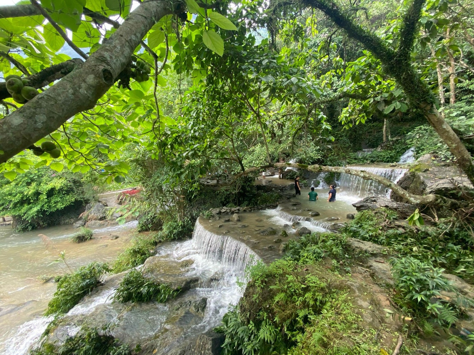 Giới thiệu