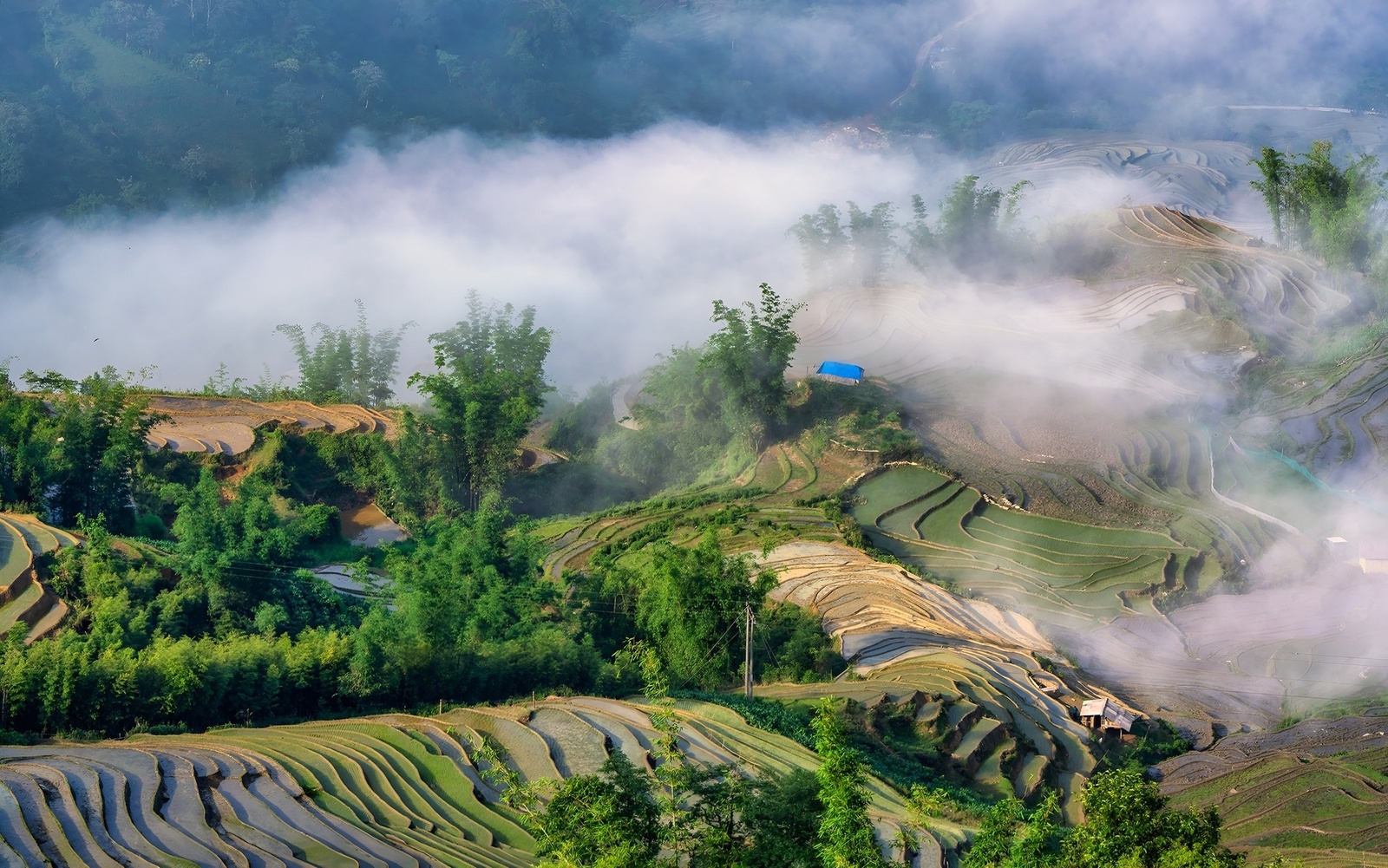 Giới thiệu