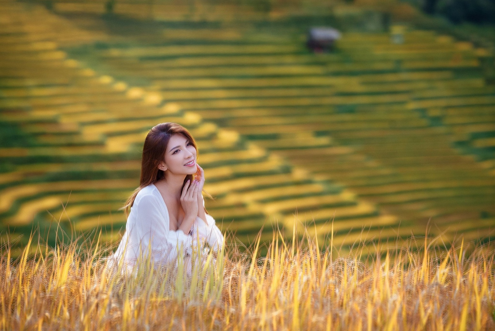 Kim Nọi Mù Cang Chải