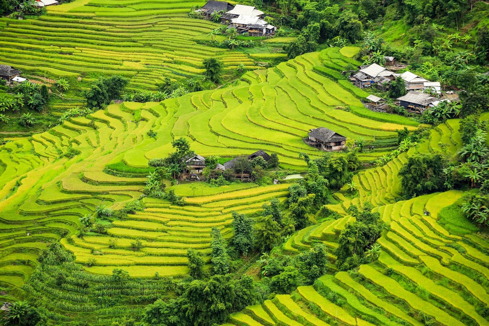 Giới thiệu