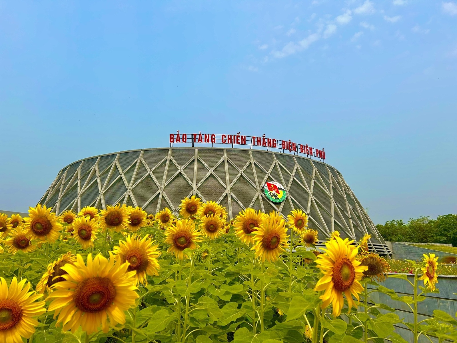 Giới thiệu