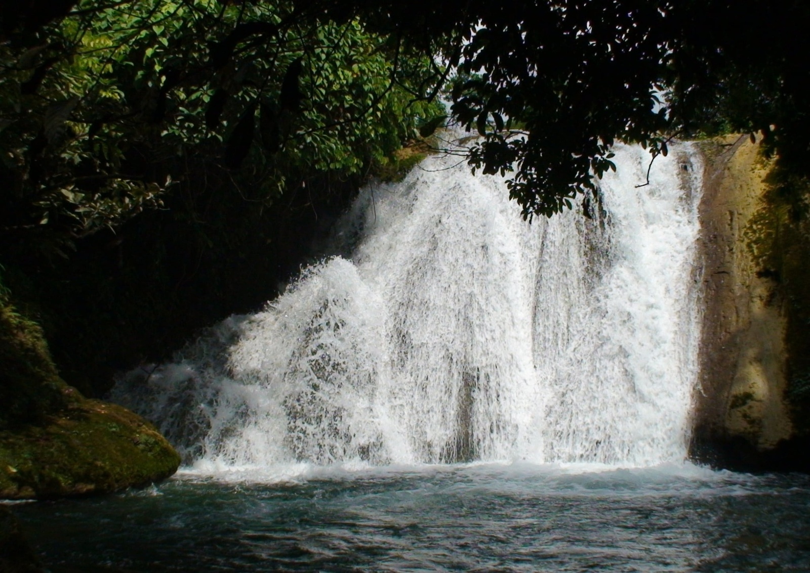 Giới thiệu