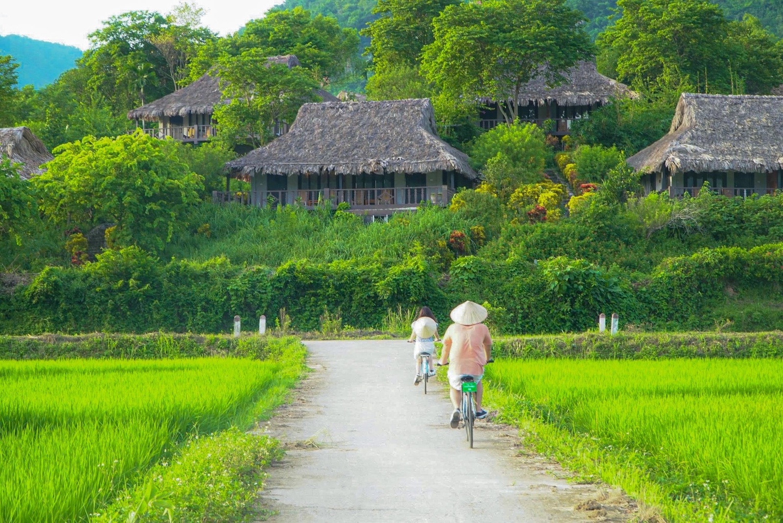 Giới thiệu