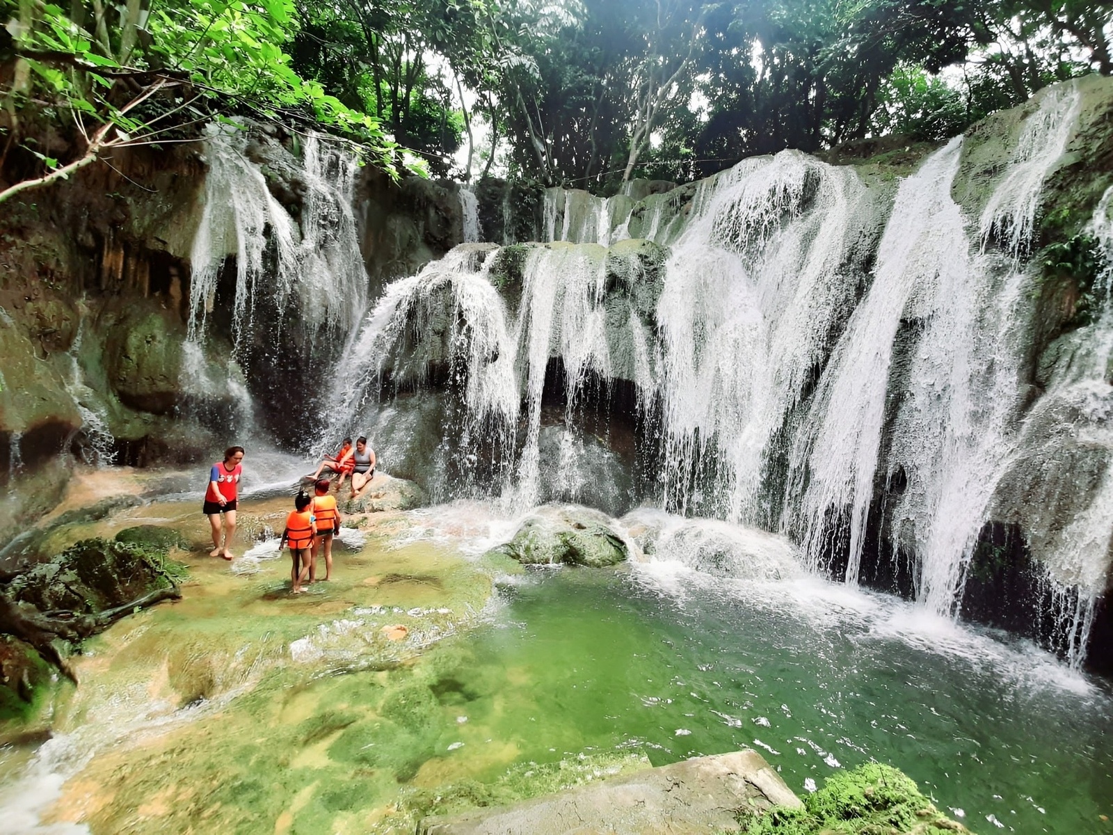 Giới thiệu
