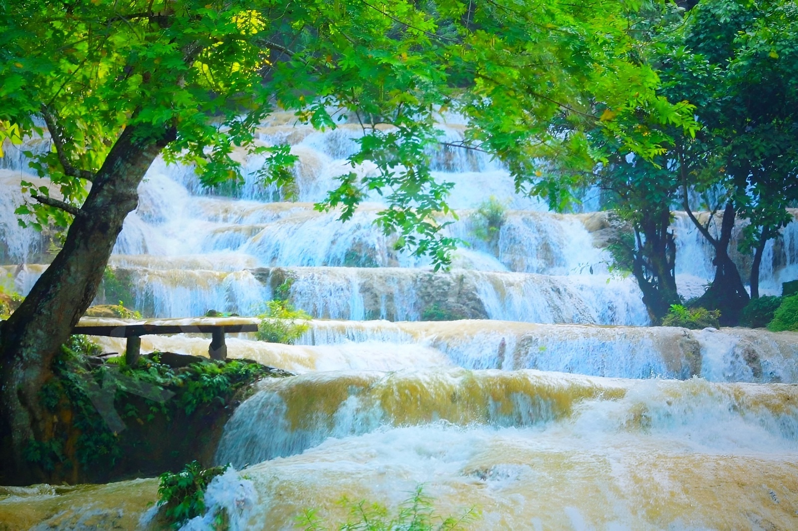 Giới thiệu