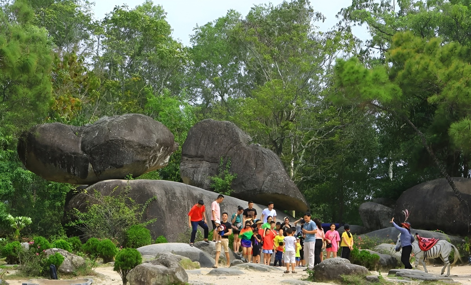 Giới thiệu