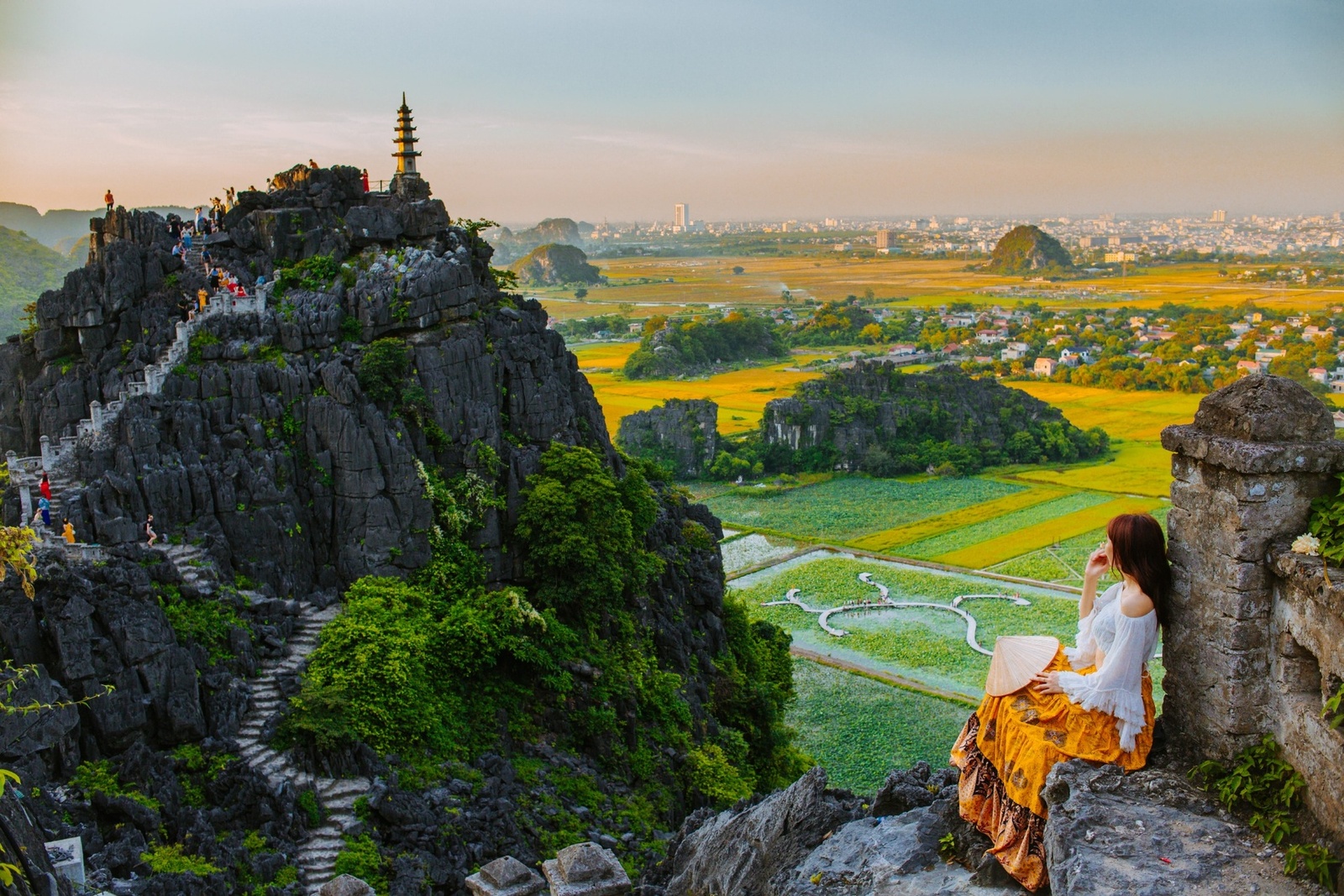 Giới thiệu