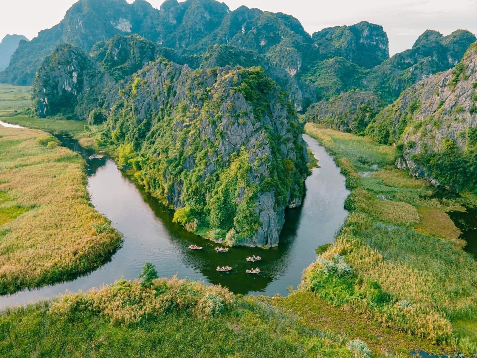 Giới thiệu