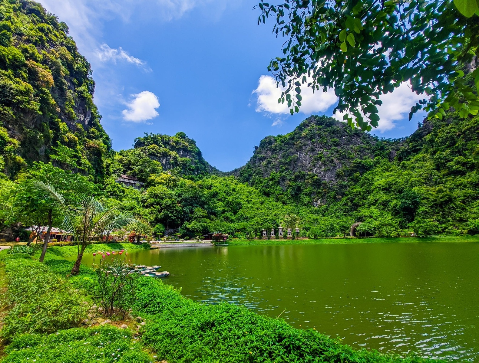 Giới thiệu