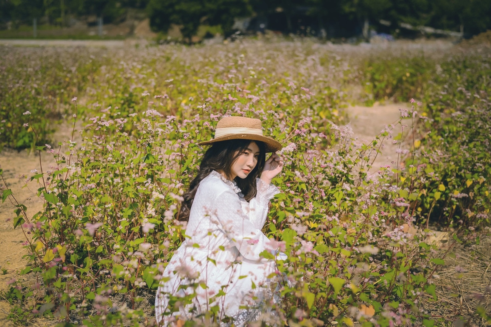 Mùa Hoa Đẹp Tại Thung Nham