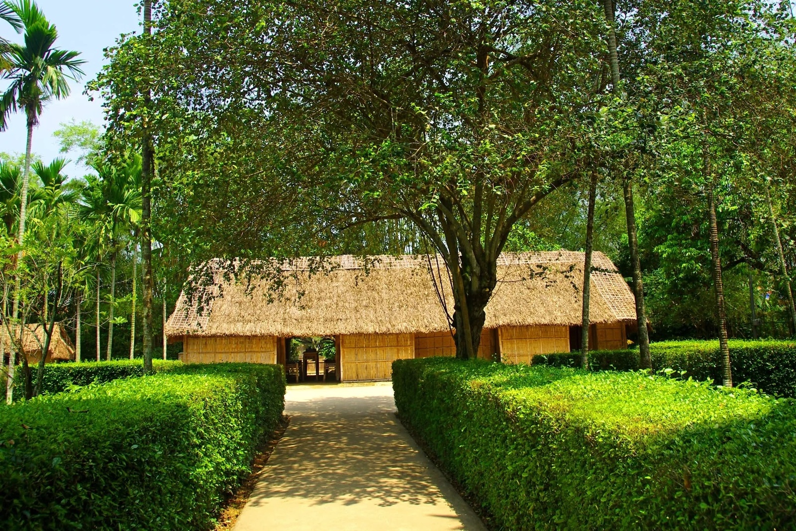 Giới thiệu