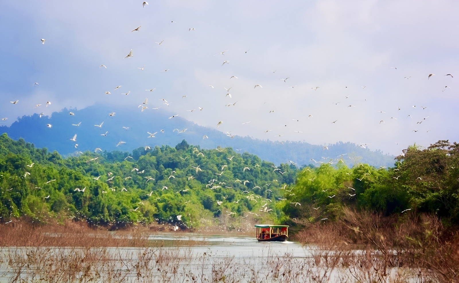 Giới thiệu