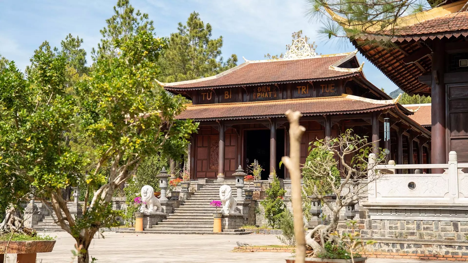 Giới thiệu