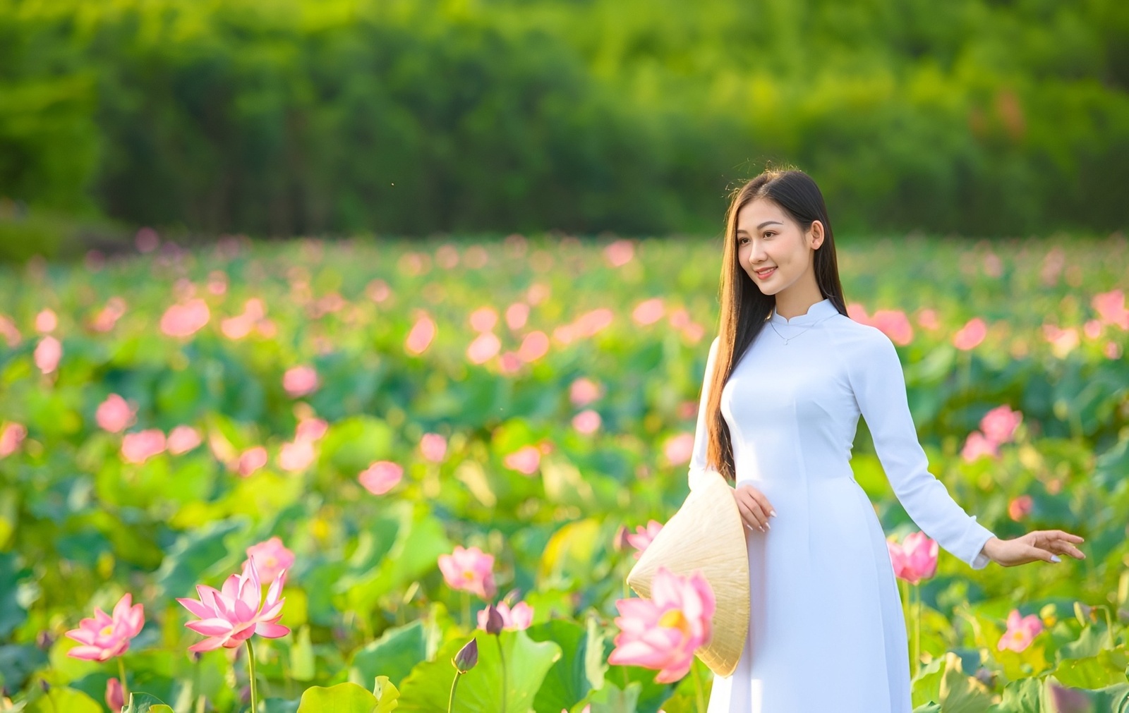 Giới thiệu