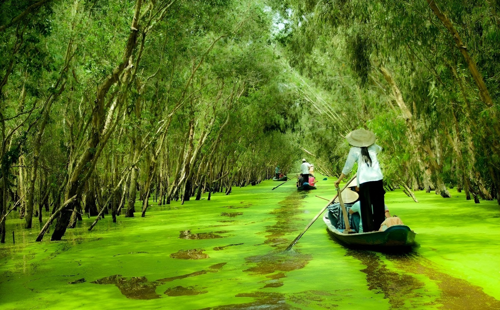 Giới thiệu