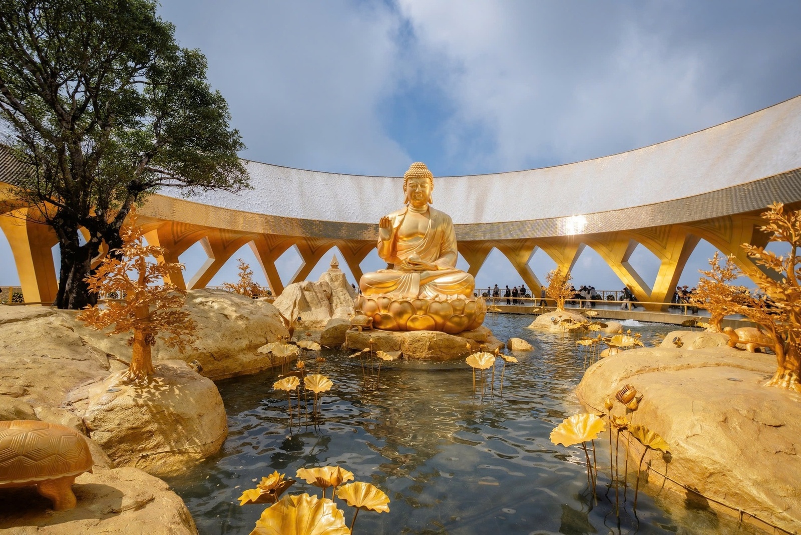Giới thiệu