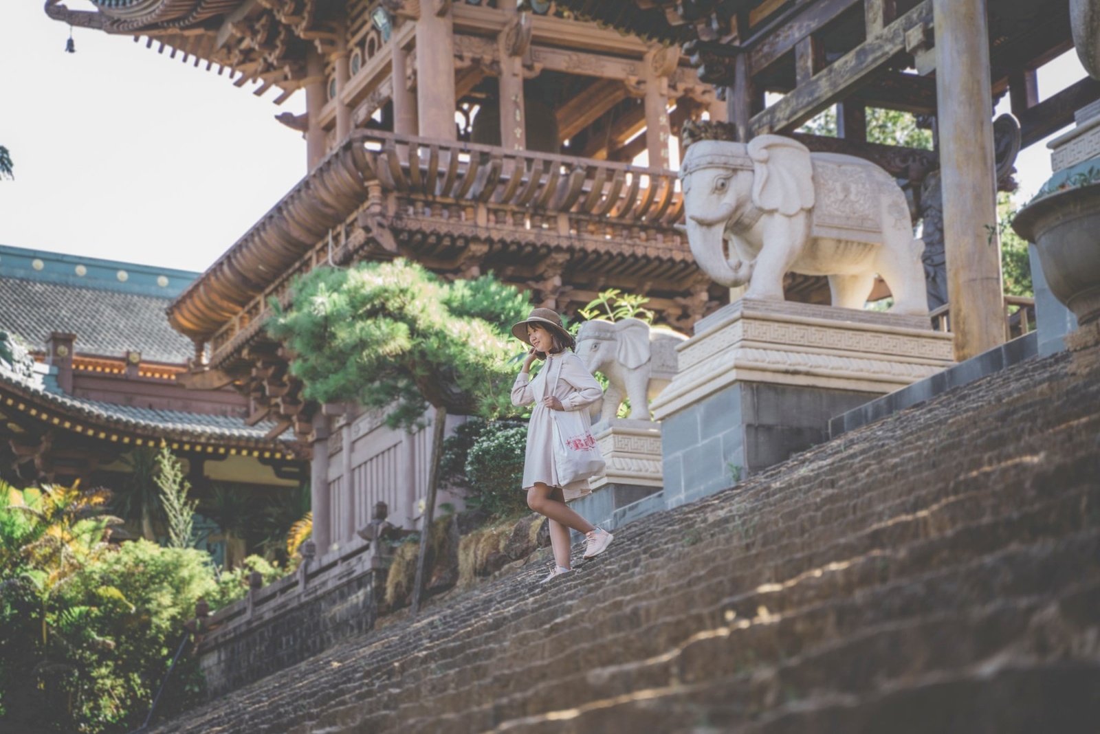 Giới thiệu