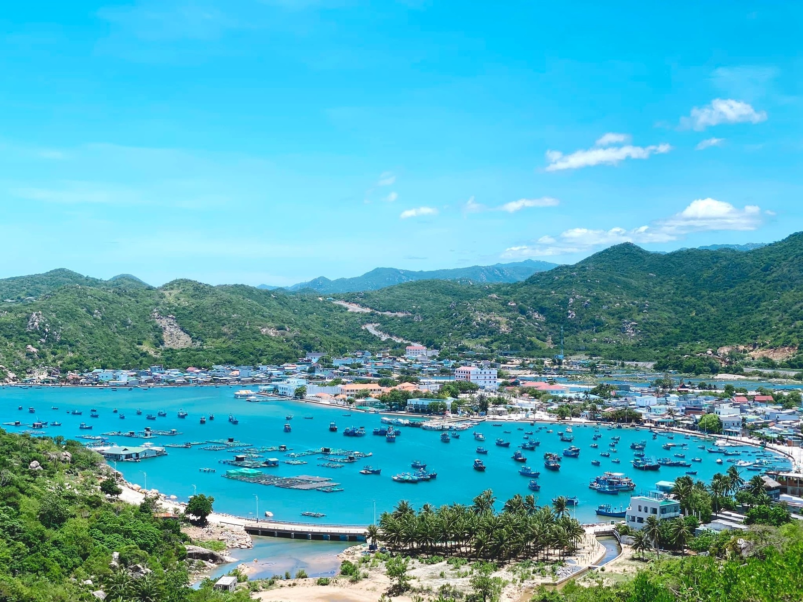 Giới thiệu