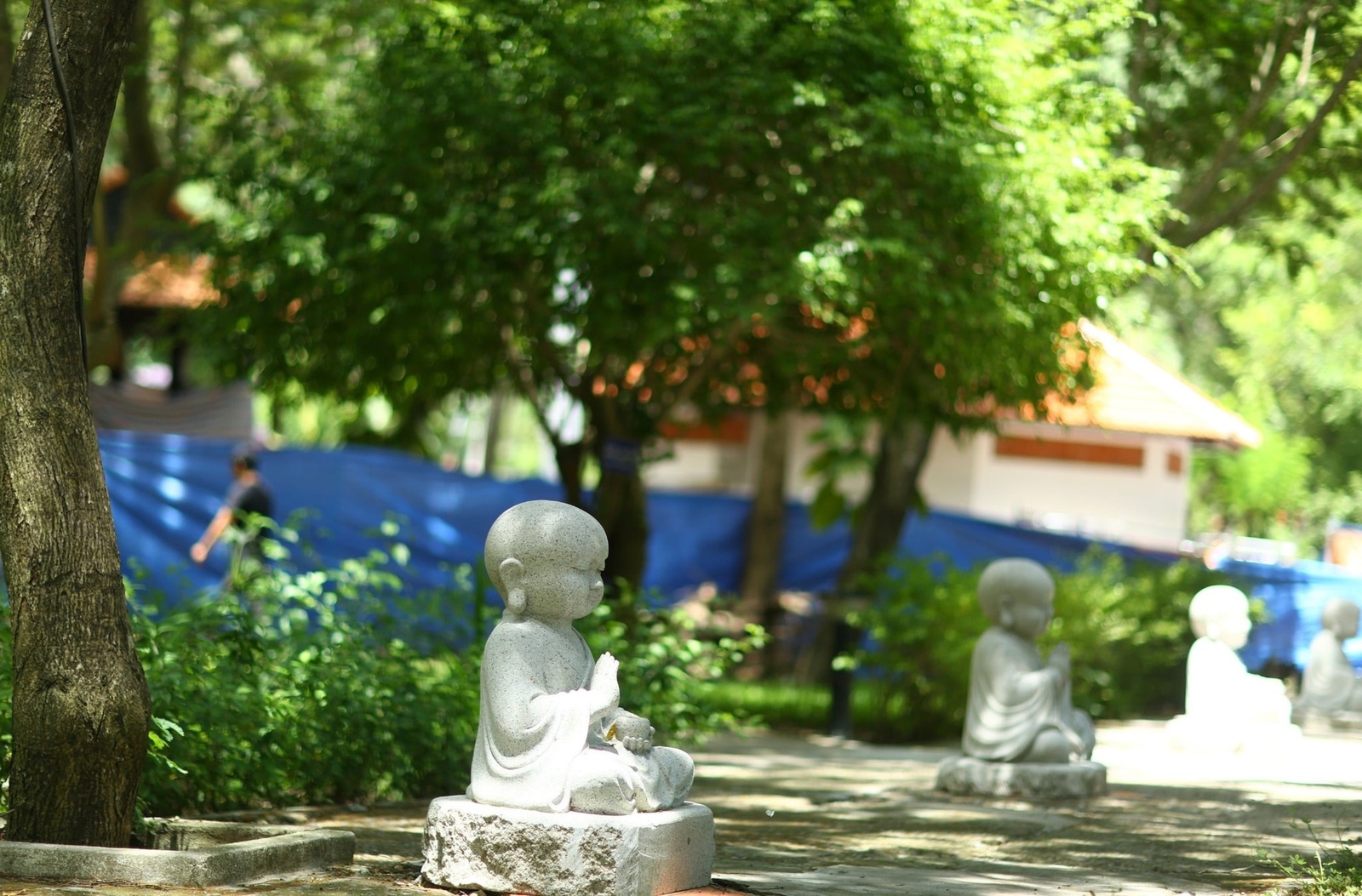 Giới thiệu