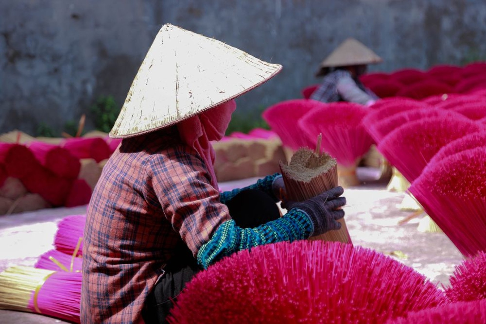 Giới thiệu