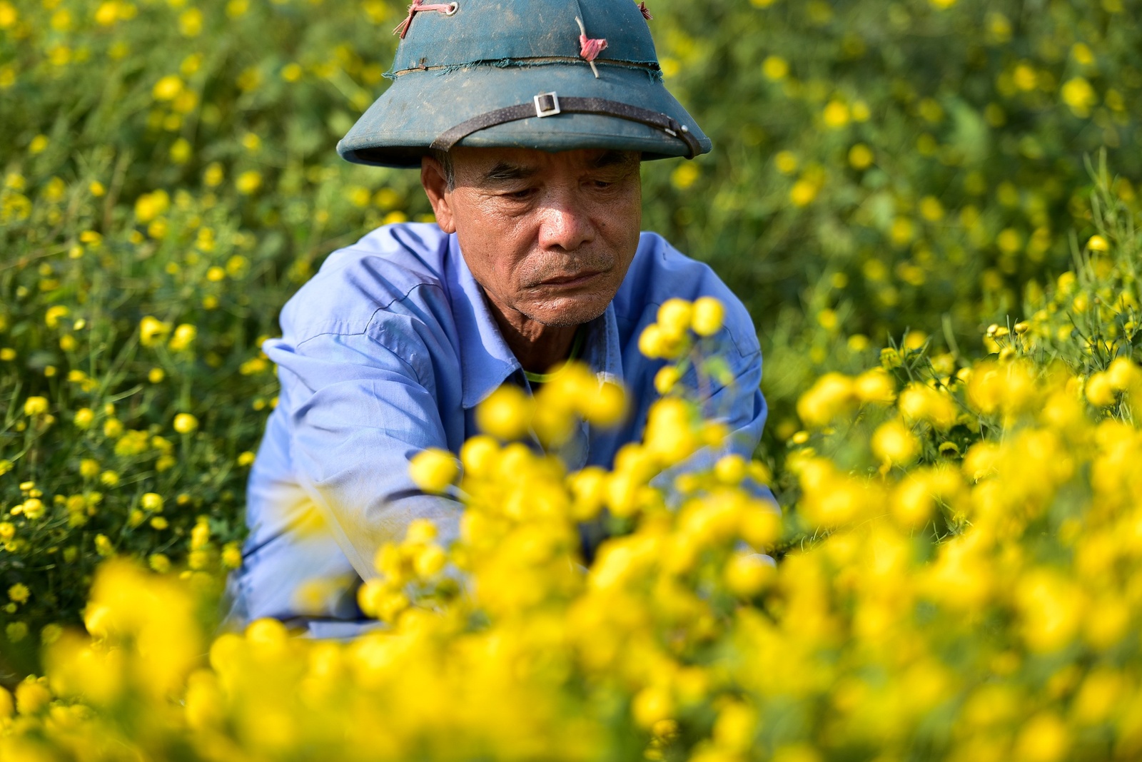 Giới thiệu