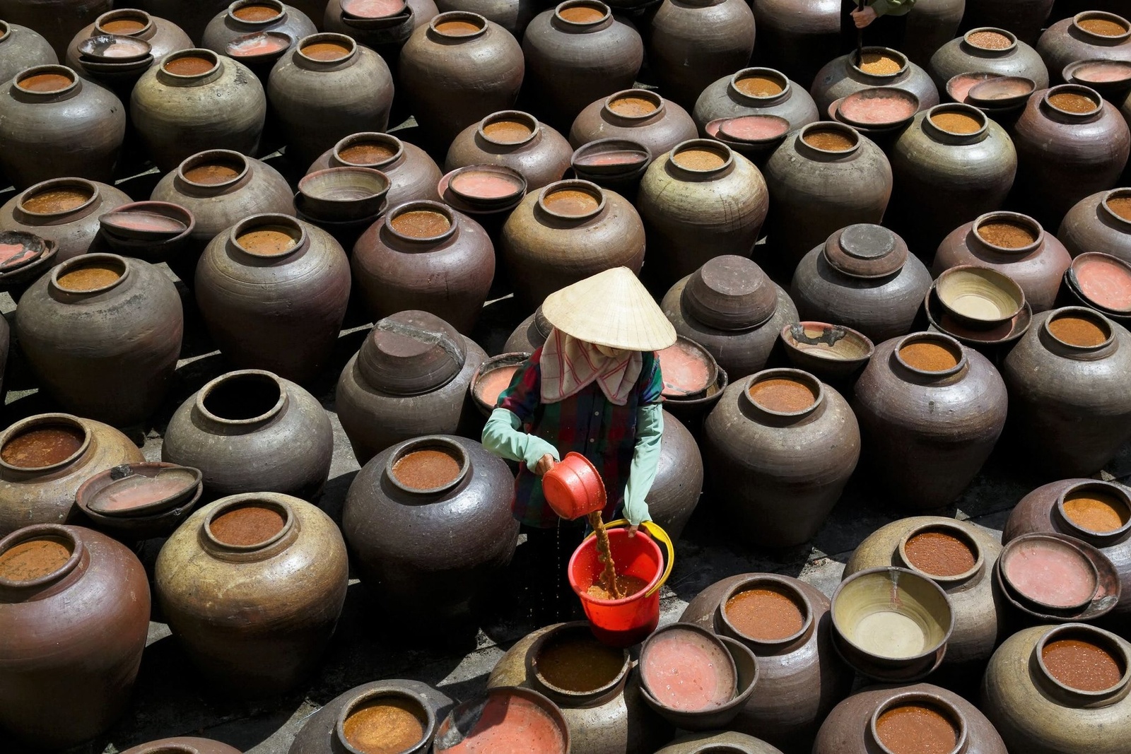 Giới thiệu