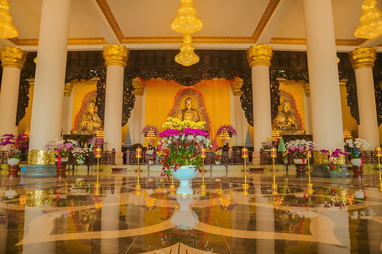 Giới thiệu