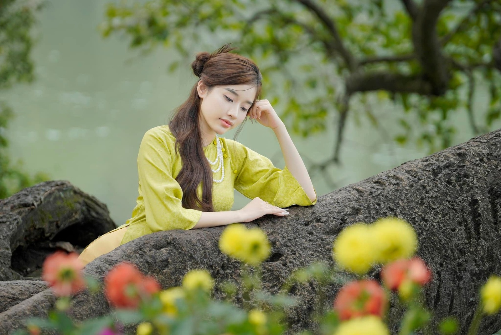 Phan Hải Anh - Kỷ niệm 2.2024
