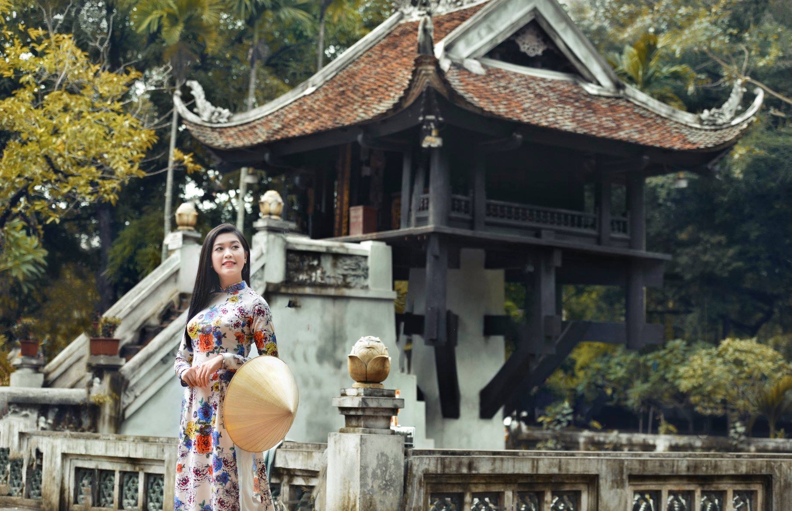 Giới thiệu