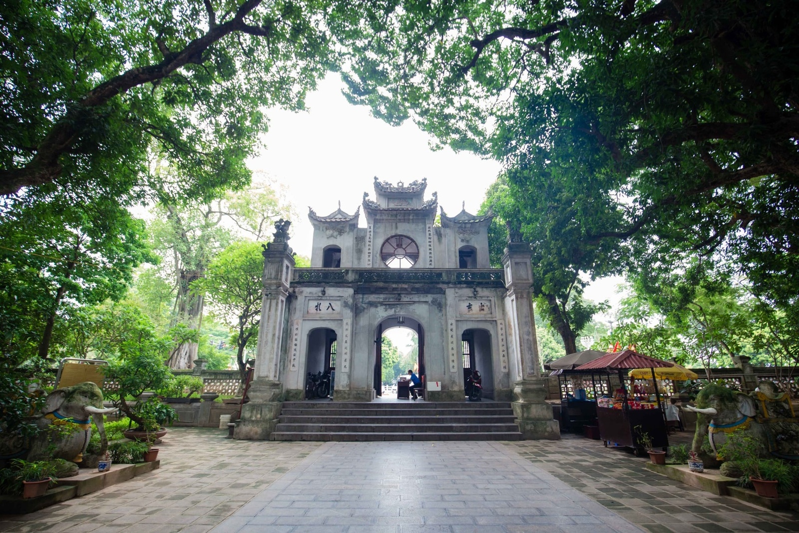 Giới thiệu