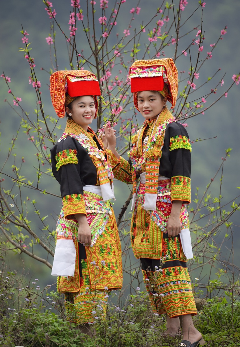 Giới thiệu