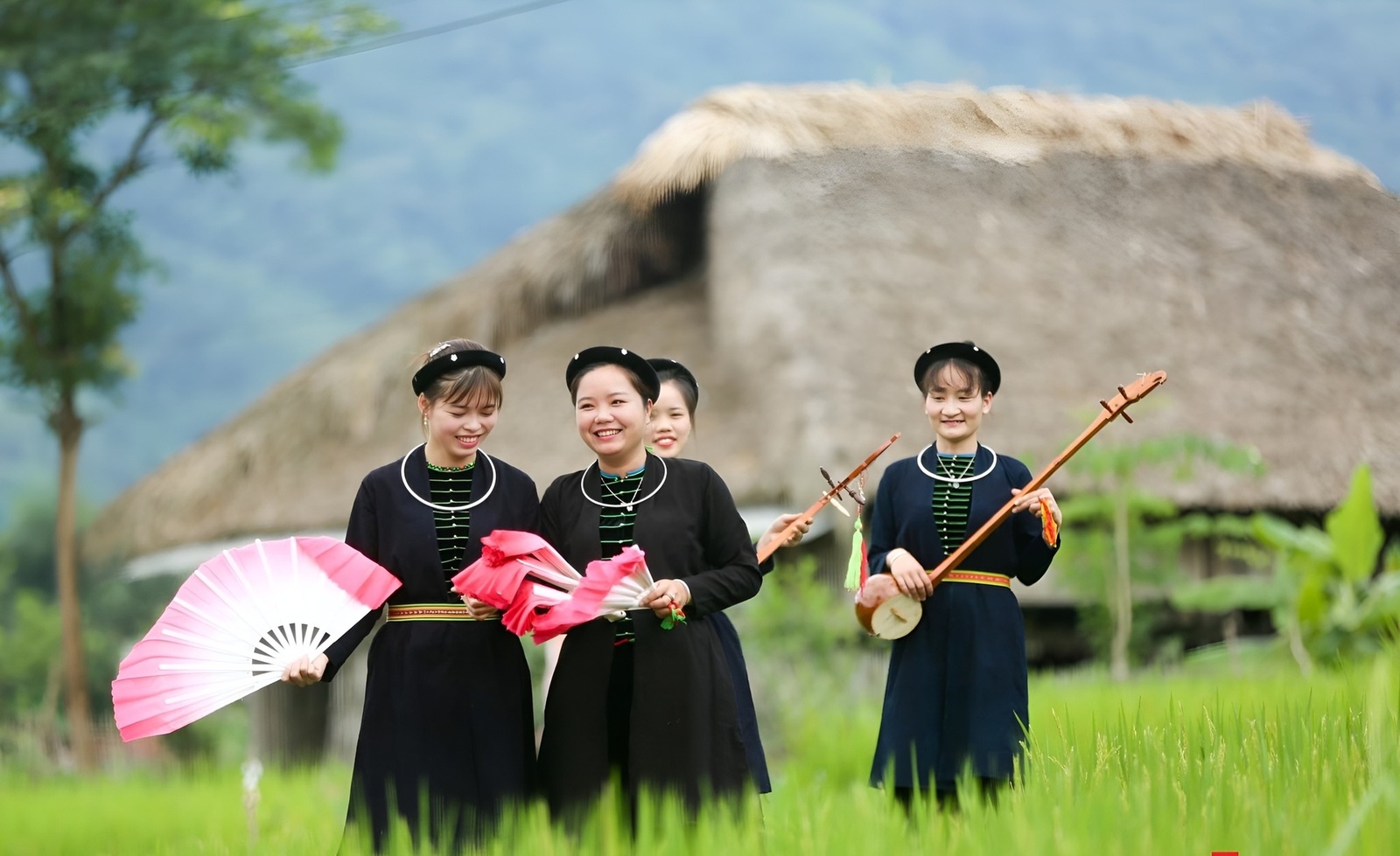Giới thiệu