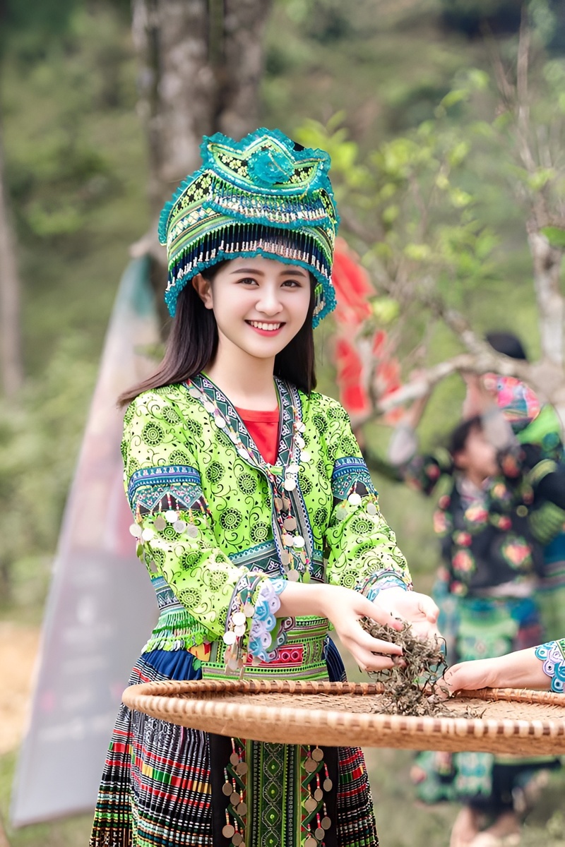 Giới thiệu