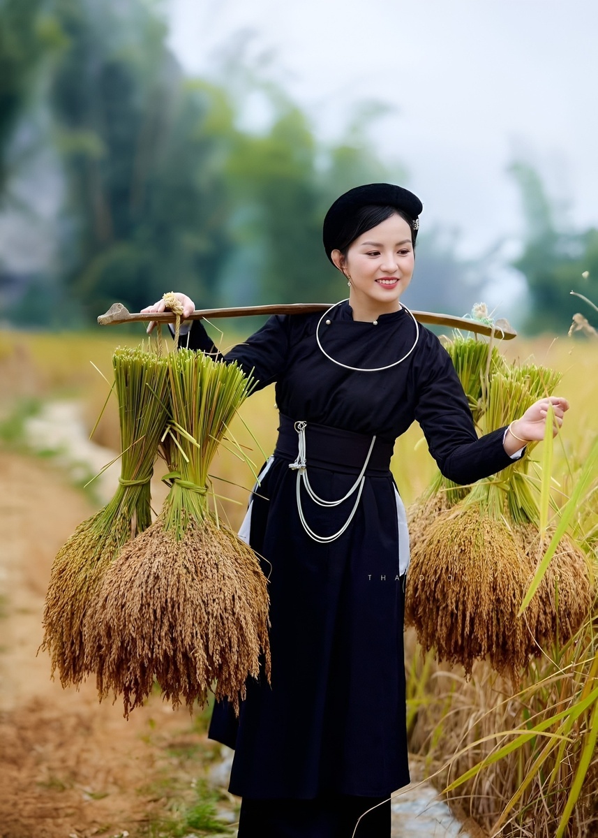 Giới thiệu