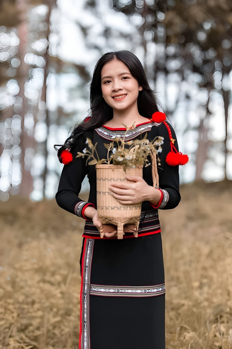 Giới thiệu
